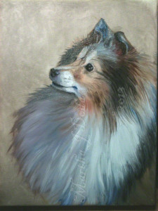 Shetland Sheepdog wall art