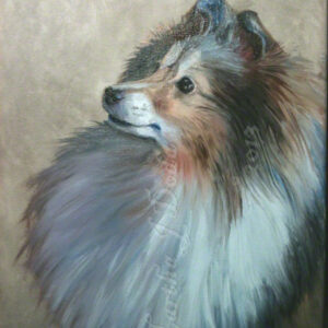 Shetland Sheepdog wall art