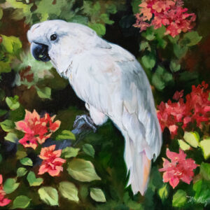 painting of a cockatoo perched in a bouganvilla bush by martha dodd