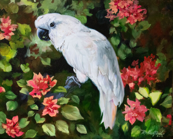 painting of a cockatoo perched in a bouganvilla bush by martha dodd