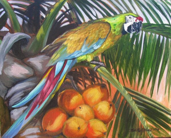 painting of a macaw in coconut palm by martha dodd