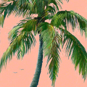 Tropical Palm Wall Art