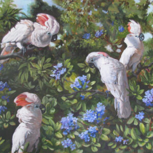 cockatoo fine art prints