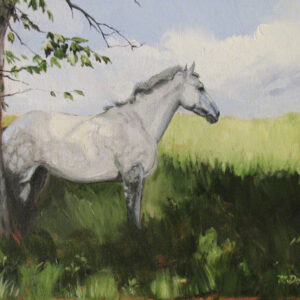 Dapple grey horse print