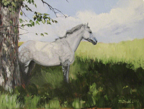 Dapple grey horse print