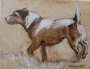 a painting of a plucky jack russell in sepia tones by martha dodd