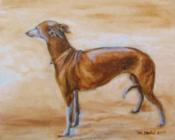 Greyhound - Dog Painting, Whippet, Italian Greyhound