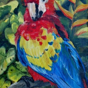 painting of a scarlet macaw by martha dodd