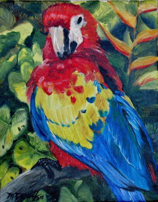 painting of a scarlet macaw by martha dodd