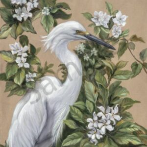 Snowy egret prints