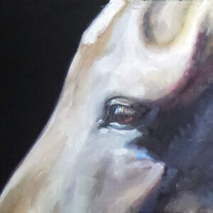 a painting of a horse's eye upclose by martha dodd