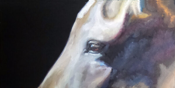 a painting of a horse's eye upclose by martha dodd