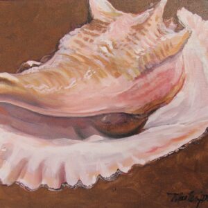 painting of a conch shell by martha dodd