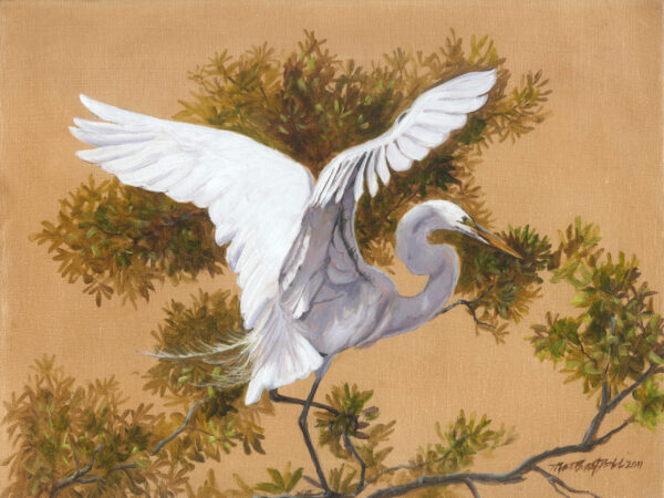 Great White Egret Print by Martha Dodd, Bird art, white bird, spread wings