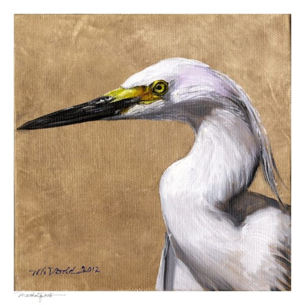 Bird Art print by Martha Dodd, Snowy Egret Head, bird lover, white bird print