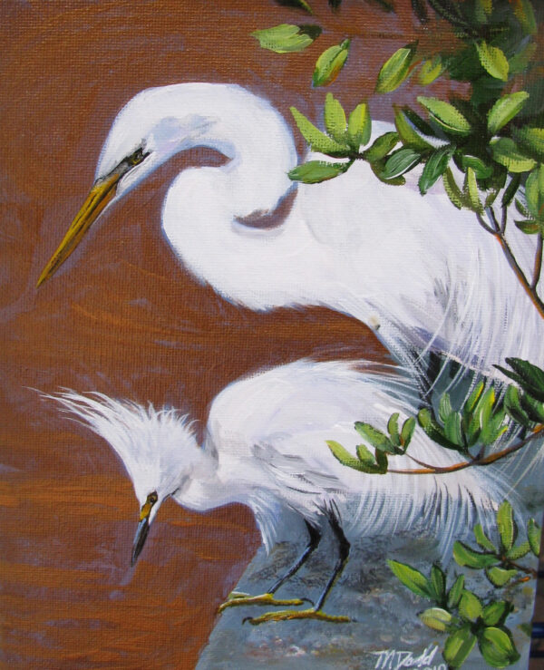 Egret Art Print:  by Martha j Dodd, snowy egret, great white  egret, florida birds, bird lover