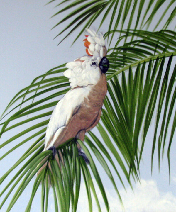 Cockatoo Art Print, Bird art, Australian wildlife art, Palm tree