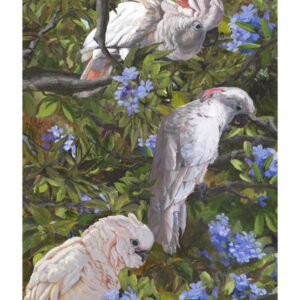 painting of 3 cockatoos in a tree with blue flowers by martha dodd Cockatoo Trio - Fine Art Prints