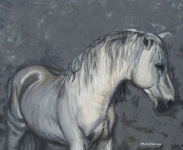 graceful stallion art print equine art painting of a grey horse with an abstract charcoal grey background.