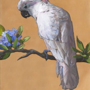 painting of a cockatoo facing left by Martha Dodd Rosita Companion Cockatoo Art Print