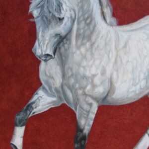 Lusitano Stallion wall art