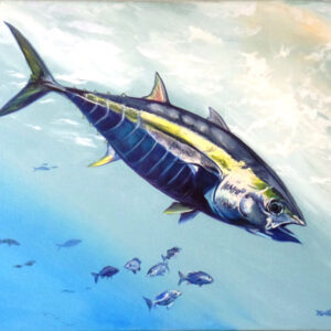 a painting of a yellowfin tuna swimming through the water by martha dodd. entitled Tuna Piano