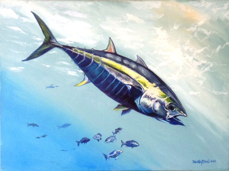 a painting of a yellowfin tuna swimming through the water by martha dodd. entitled Tuna Piano