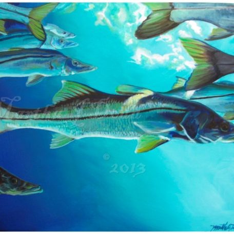 painting of several snook swimming underwater by martha dodd