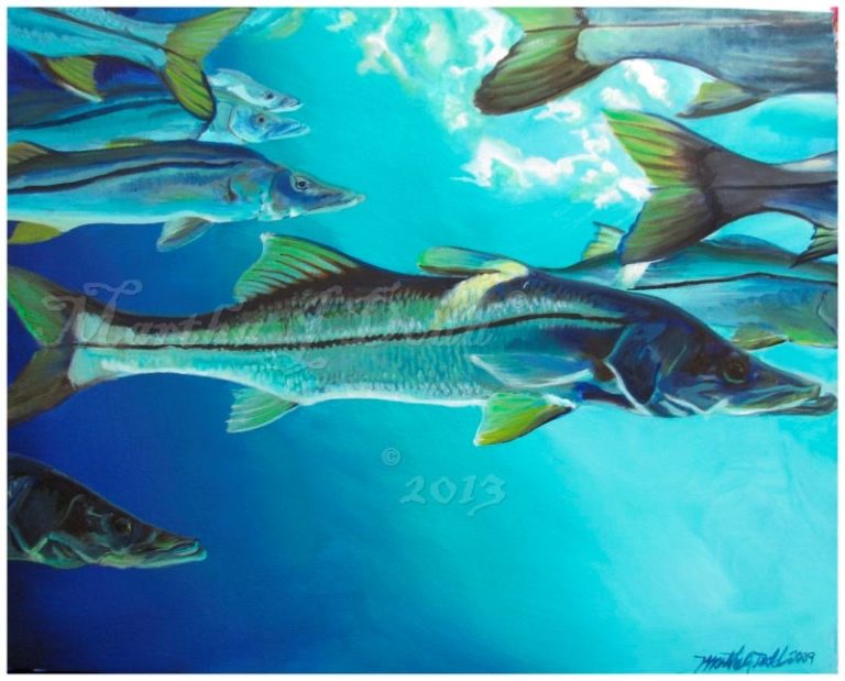 painting of several snook swimming underwater by martha dodd