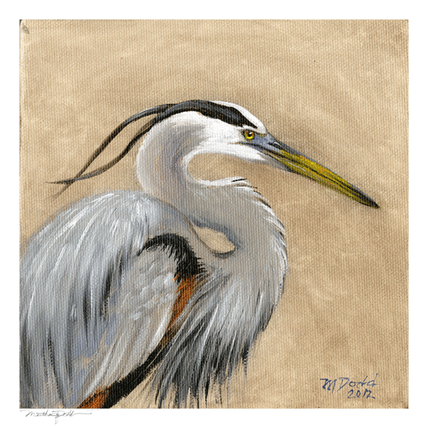 picture of great blue heron art