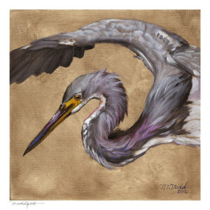 image of tri-colored heron