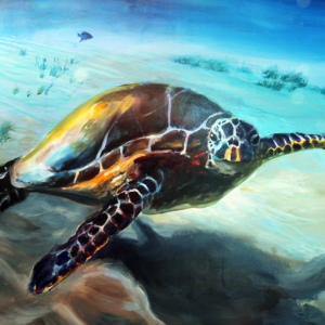 Sea turtle swimming underwater art print