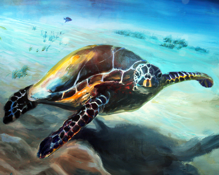 Sea turtle swimming underwater art print