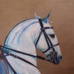 Painting of Iberian Horse