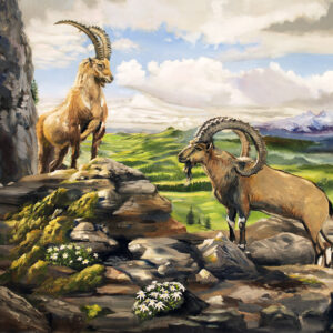 Alpine Ibex original painting