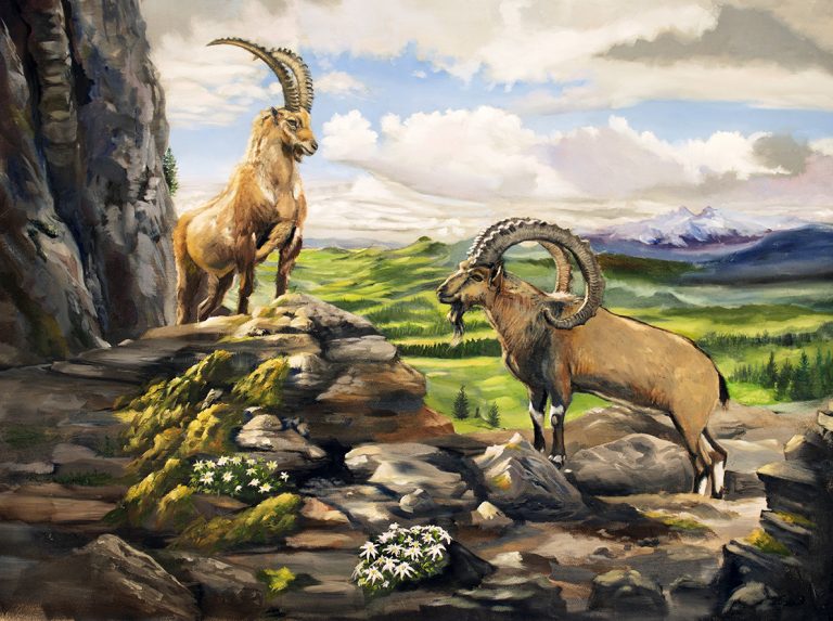 Alpine Ibex original painting