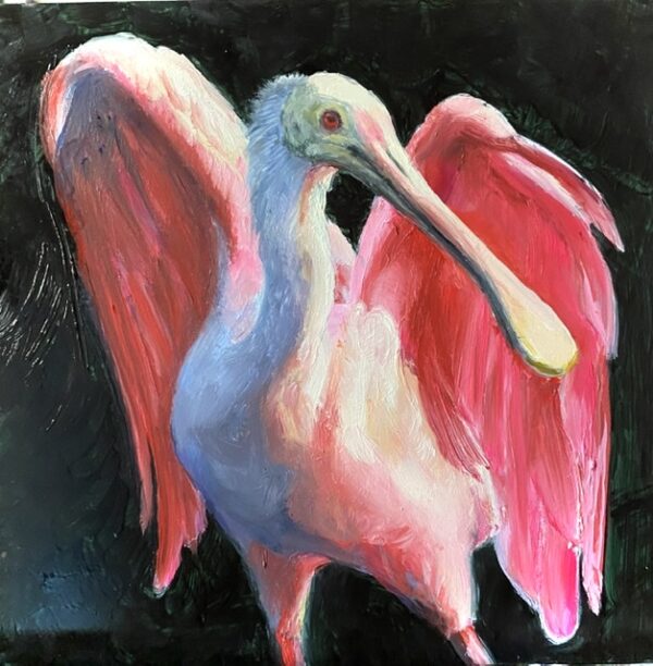 Rose Angel Spoonbill Original Painting By Martha Dodd