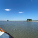 quarantine time shows few if any vistors on this empty island in south carolina. the sky is blue and a cluster of trees stands alone on this empty shoreline