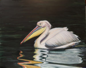 painting of a white pelican on dark water by Martha Dodd