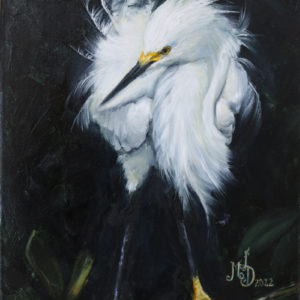 Golden Slippers - original snowy egret painting by Martha Dodd, painting of a white snowy egret with a balck background