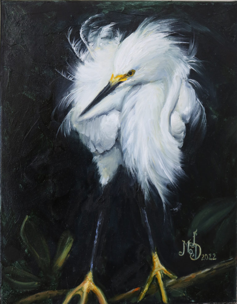 Golden Slippers - original snowy egret painting by Martha Dodd, painting of a white snowy egret with a balck background