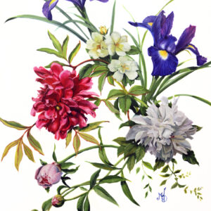 Floral Paintings