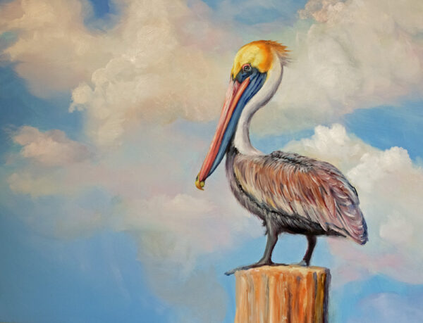 painting of a colorful pelican sitting on a piling with a blue sky and fluffy clouds by martha dodd