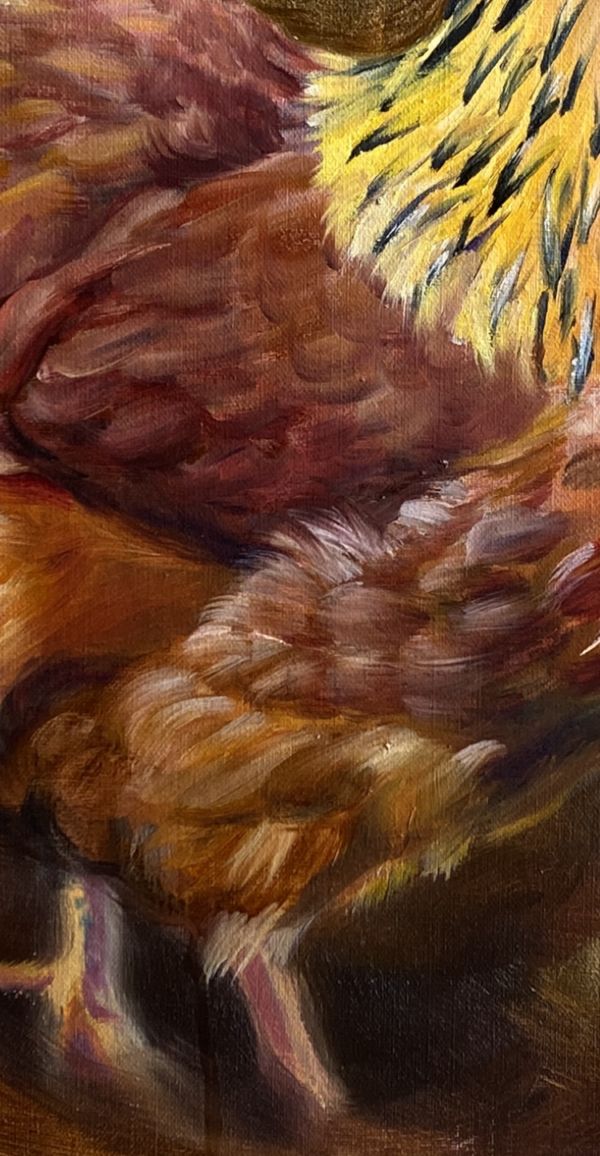 closeup of lower feathers of a chicken in Painting