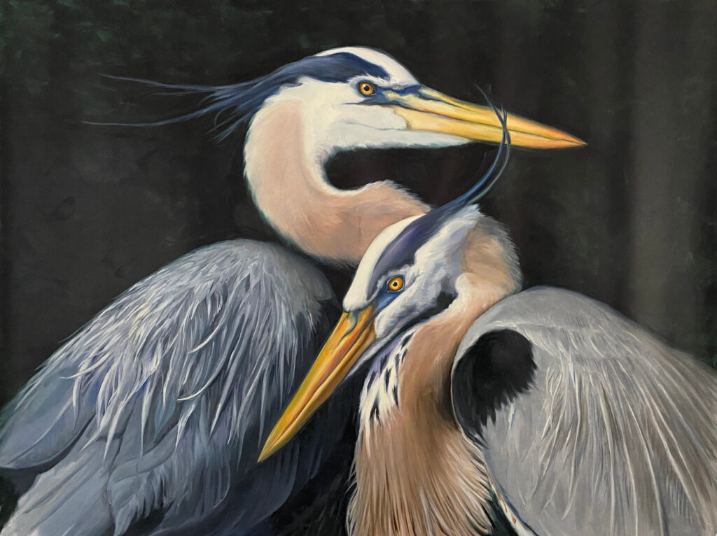 painting of two great blue herons by martha dodd