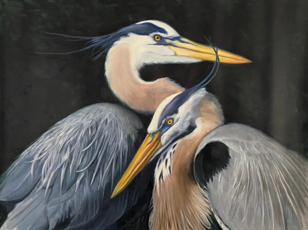 painting of two great blue herons by martha dodd