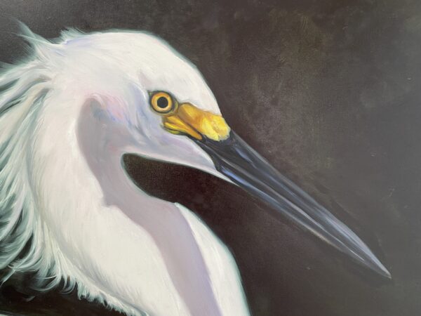 Windswept - Original Painting of Snowy Egret by Martha Dodd, white bird, bird head - Image 3