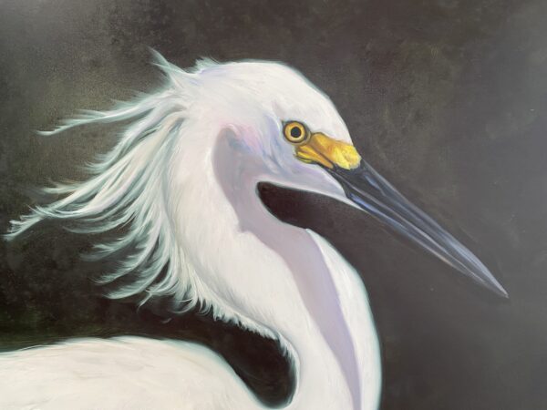 Windswept - Original Painting of Snowy Egret by Martha Dodd, white bird, bird head