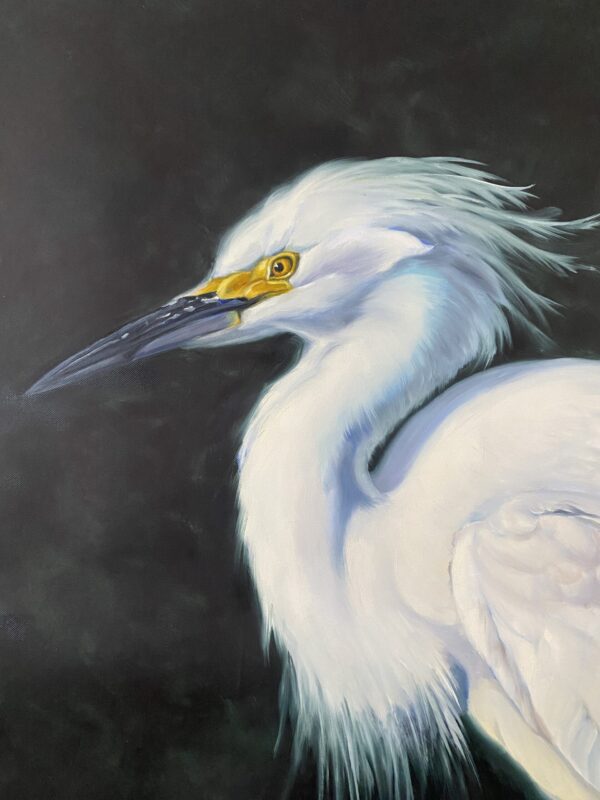 "Feathery Snowy Egret" Original Oil Painting by Martha Dodd - Image 3