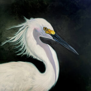 white snowy egret painting